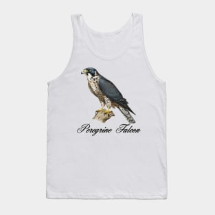 Peregrine Falcon  sitting on a branch Tank Top